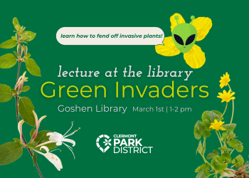 honey suckle branch and lesser celandine over a green background, with an alien saying "learn how to fend off invasive plants!" White and green text reads "lecture at the library, Green Invaders"